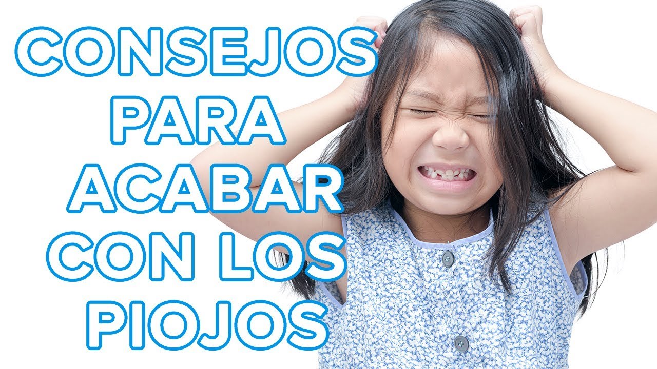 10 consejos para acabar con los piojos para siempre 💇
