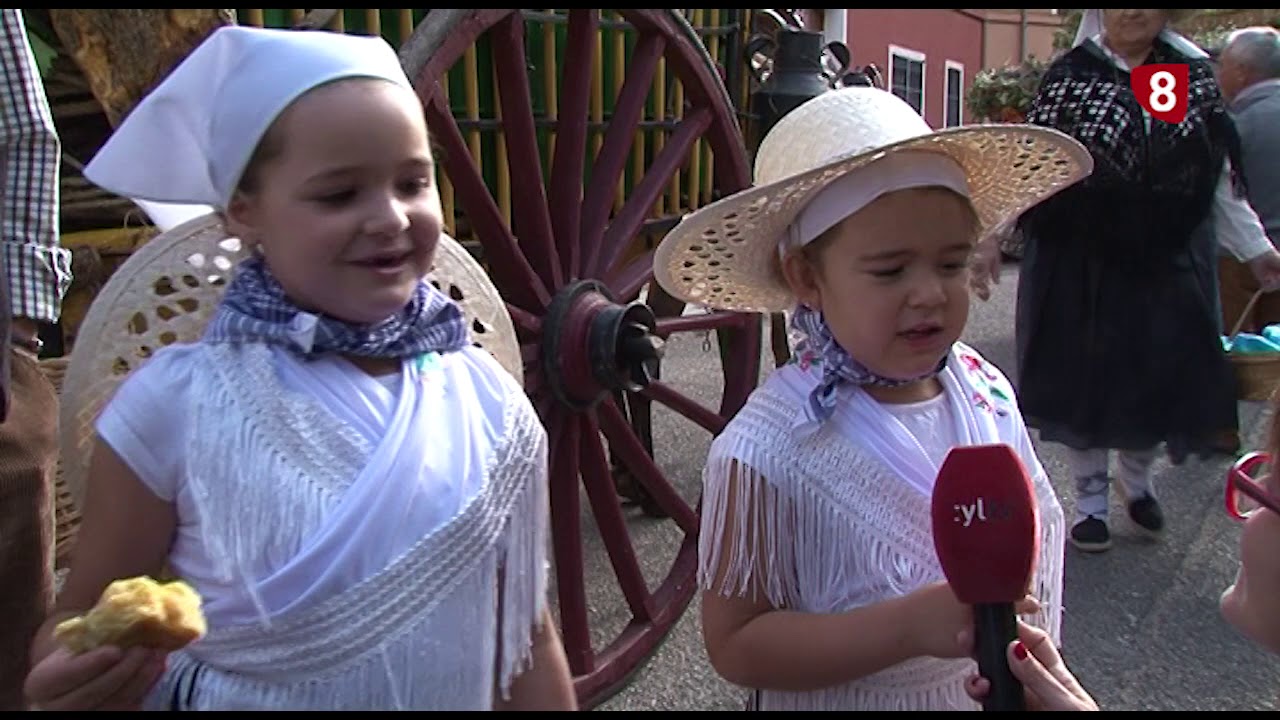 FIESTA DE LA VENDIMIA DE TORO, DESFILE DE CARROS