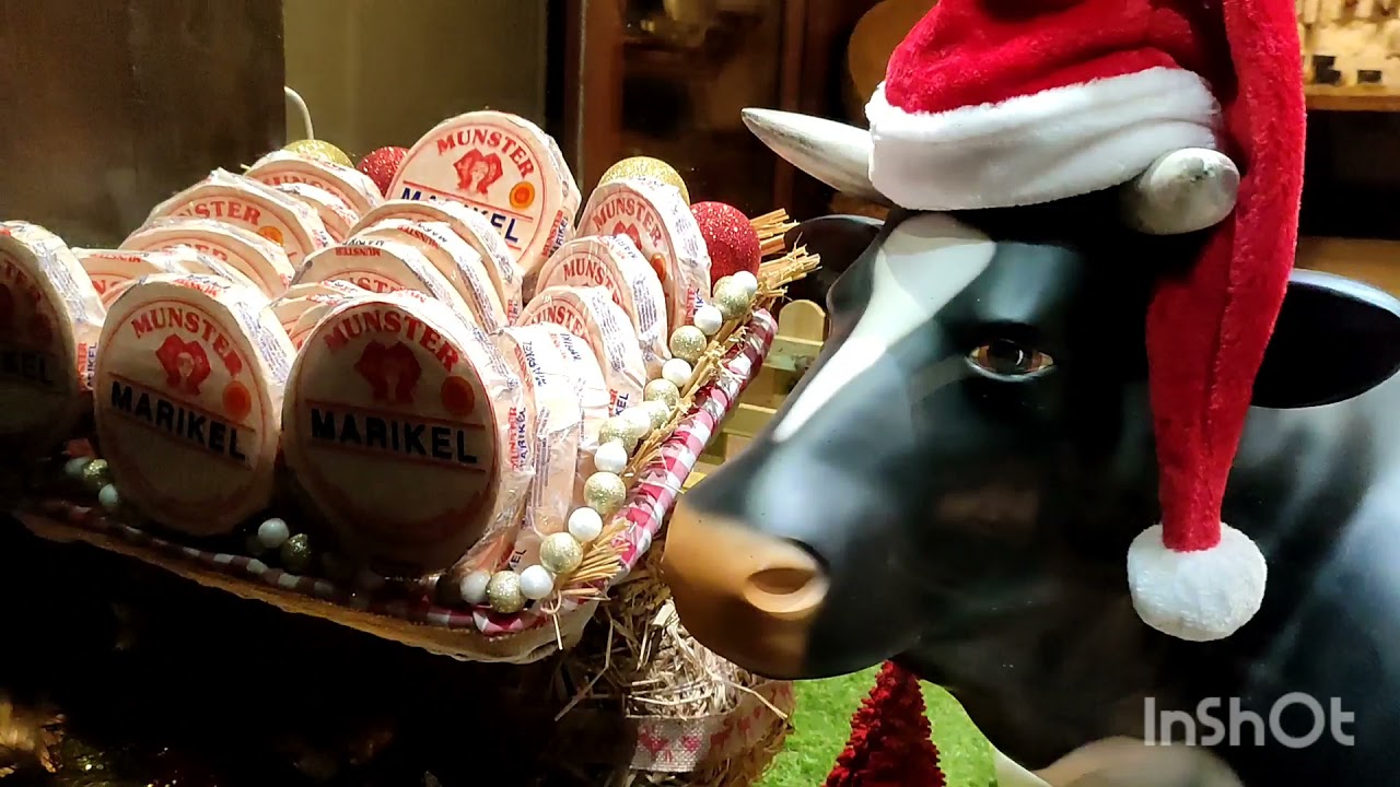 Marché de Noël dans mon village préféré Kaysersberg🎄🎅 et souffleur #alsace #noël #francia