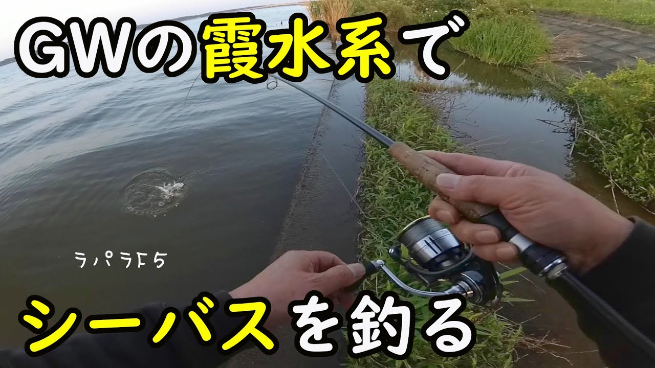 GWの霞水系でシーバスを釣る　－　霞水系・霞ヶ浦・北浦・鰐川・北利根川・外浪逆浦・常陸利根川【シーバス・バス・アメリカナマズ】－やまいぬ【釣りと歌】チャンネル
