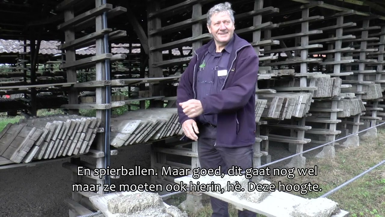 De Ossestenen Losser 2023