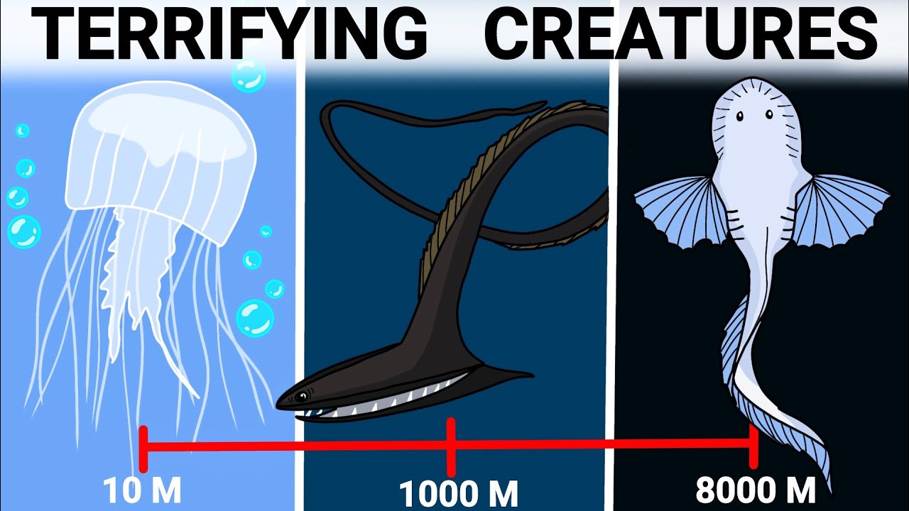 The Most Terrifying Creatures Hiding in Every Ocean Zone