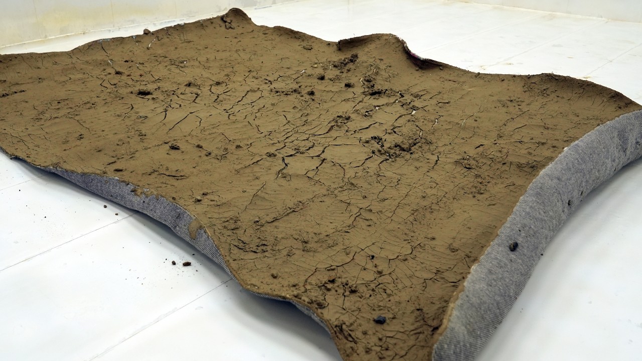 This Carpet Looked Like a Piece of Desert Floor… Until Water Hit It – Carpet Cleaning ASMR