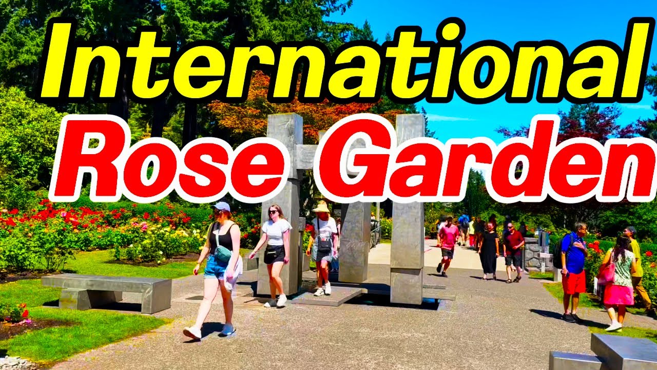 [4K] Portland International Rose Test Garden Tour 2025 | Oregon&rsquo;s Famous Rose Garden
