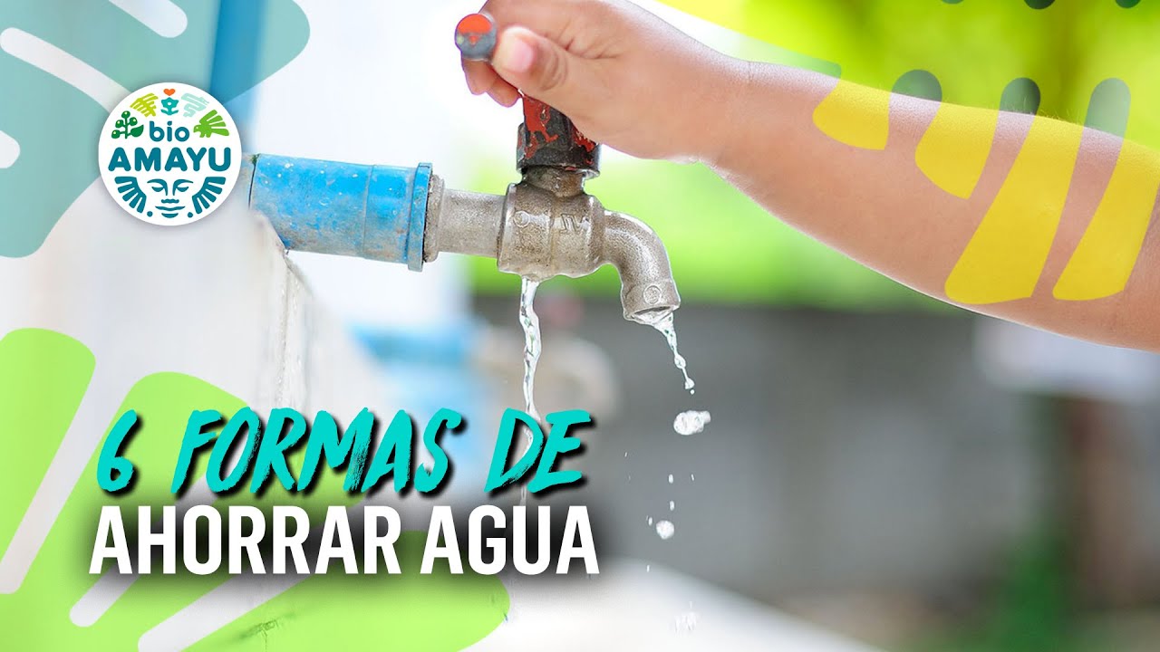 &iquest;C&oacute;mo ahorrar agua desde casa? | BIO AMAYU