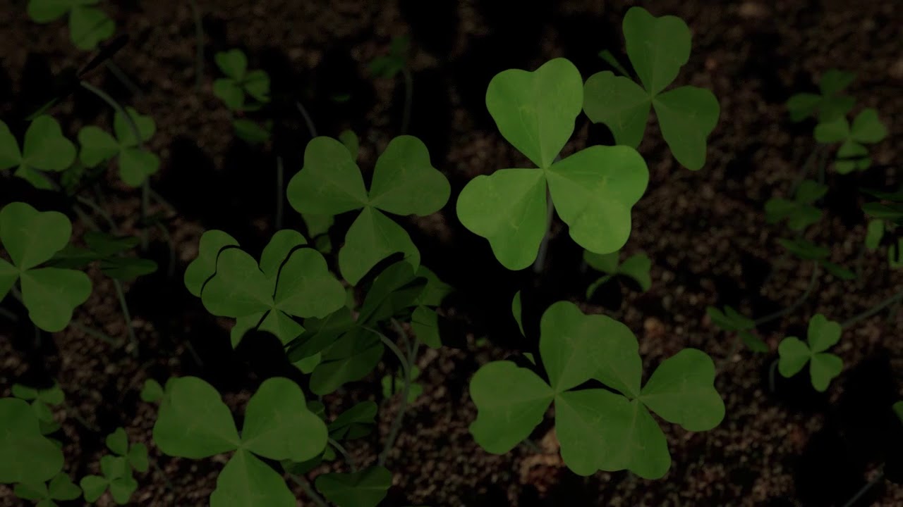 Shamrock Band Logo Animation