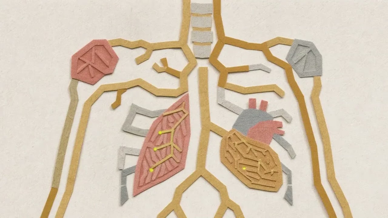 Sound Waves and Light Paths: The Cutting Edge of Alternative Therapies