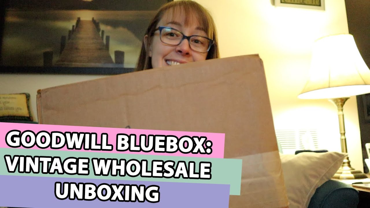 GOODWILL BLUEBOX UNBOXING: VINTAGE WHOLESALE