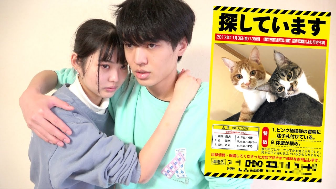 愛猫のテトリンが脱走して行方不明になりました。生きて帰ってきて
