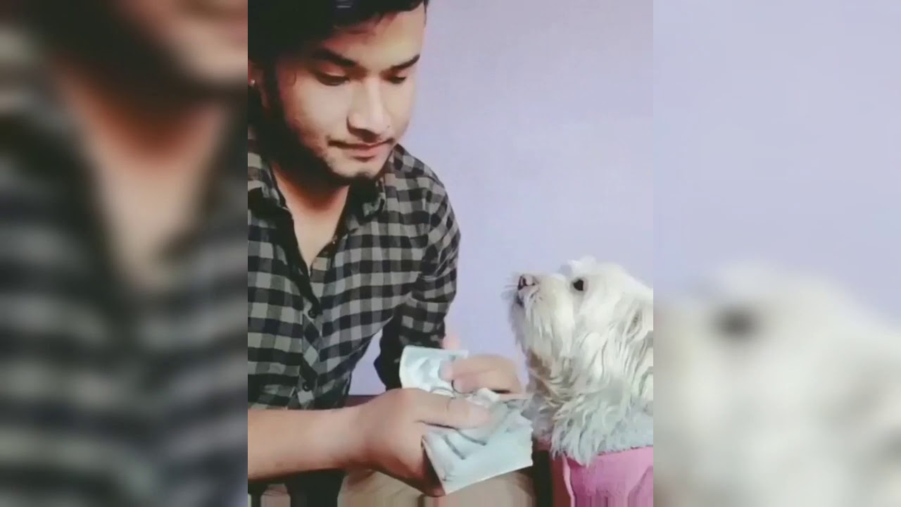 Funny Cat videos 😂😂
