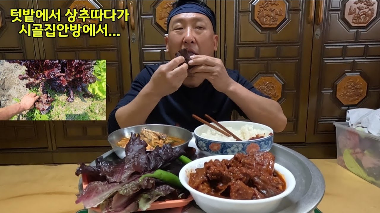 찬밥남은거에 돼지고기 김치찜 밭에서 따온상추 먹방