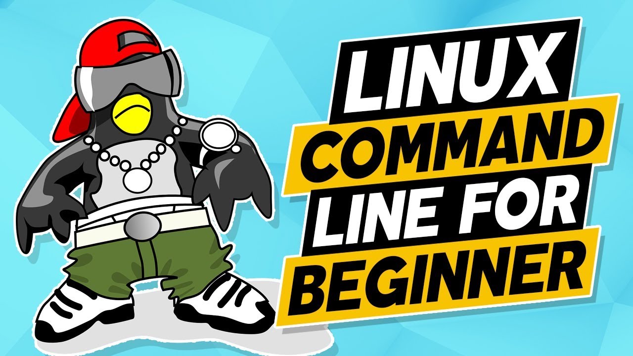 Linux for Beginners: Understanding the PATH variable