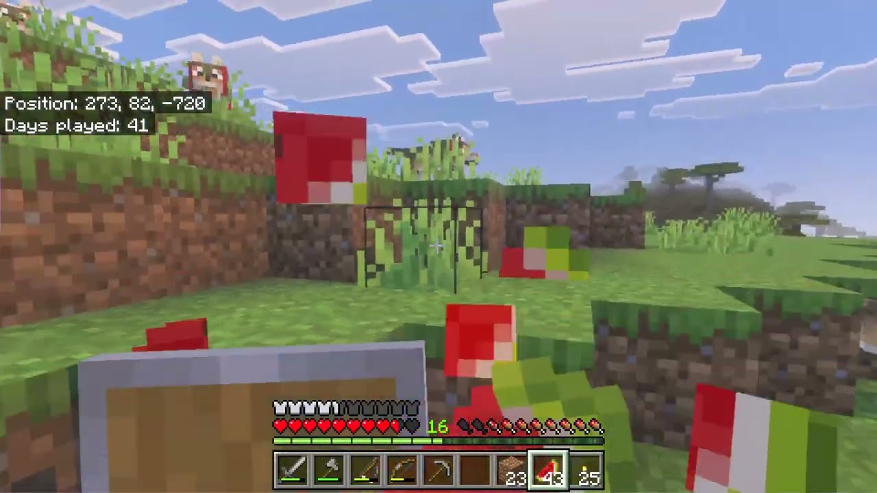 Success - village and Nether || Minecraft Survival || #12