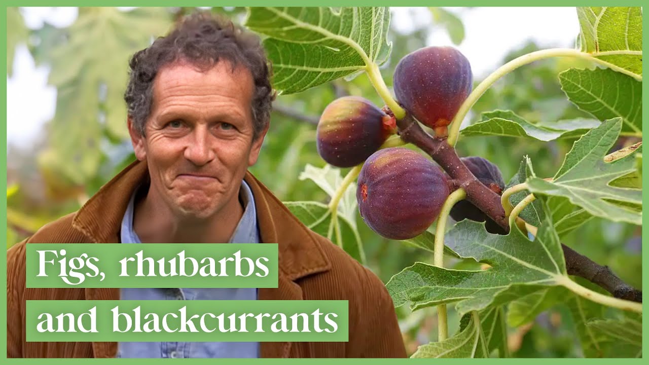 Monty Don Shares The Best Fruits For A Small, Shady Garden | Gardeners' World