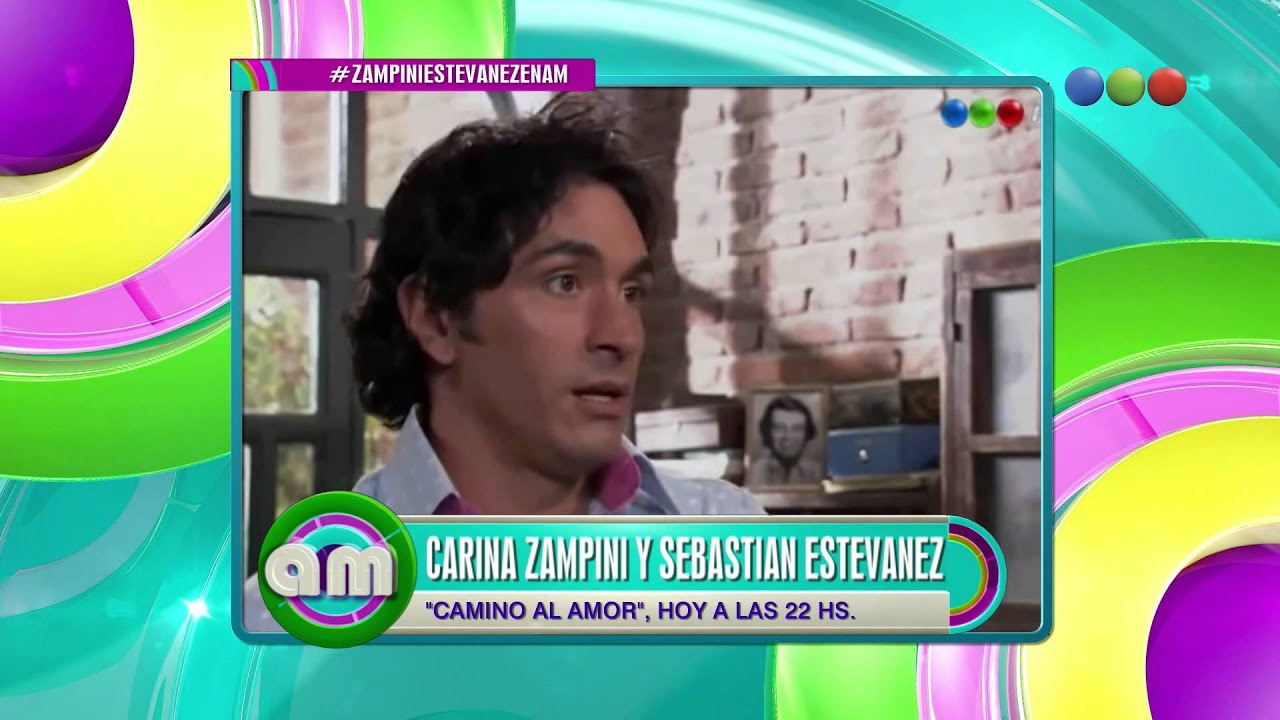 Zampini y Estevanez, Informe - AM