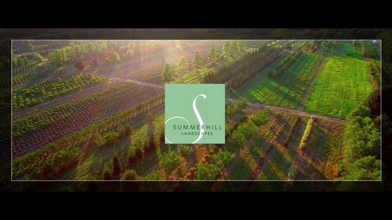 SummerHill 4k