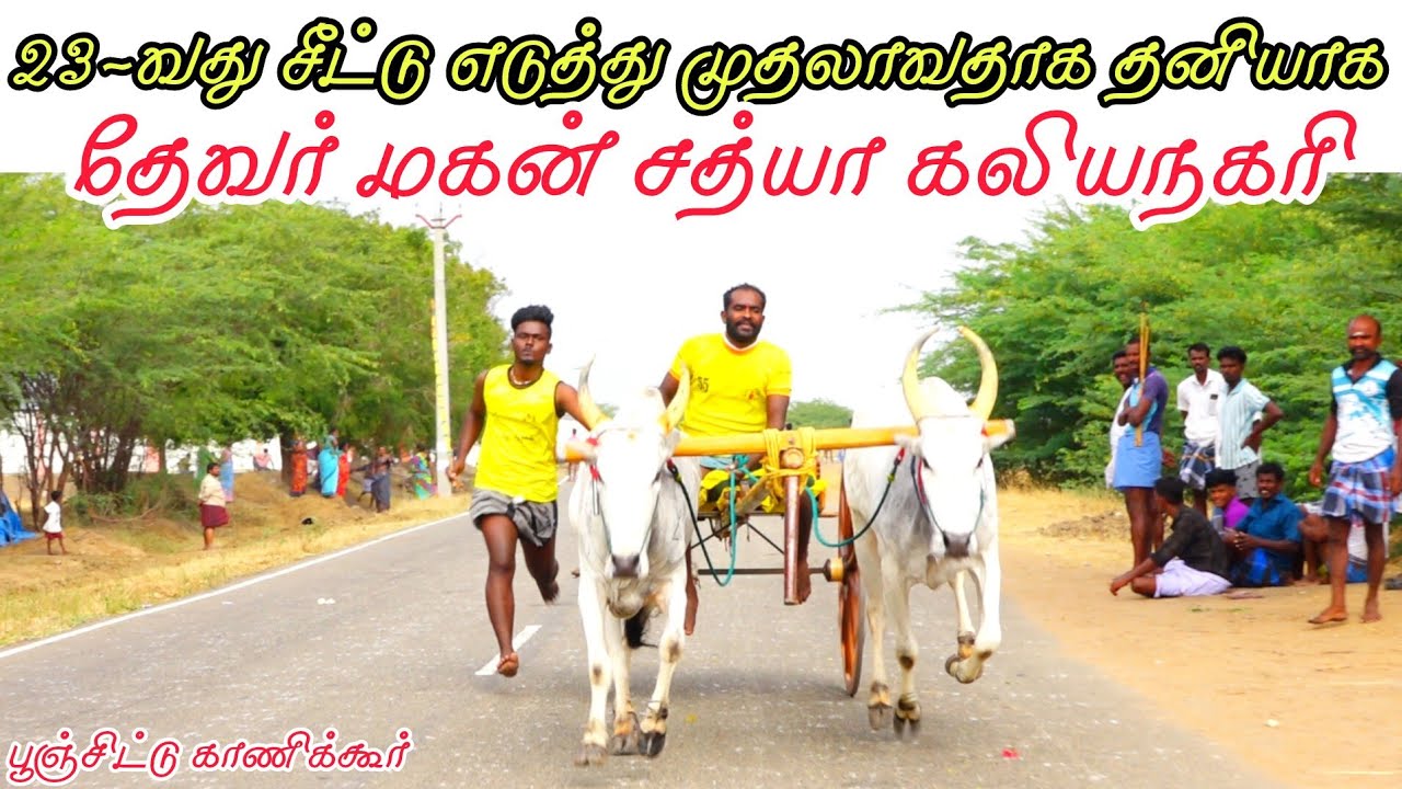 3 இராமநாதபுரம் மாவட்டம் காணிக்கூர்-ஒச்சதேவன்கோட்டை பூஞ்சிட்டு பந்தயம் 21-02-2026