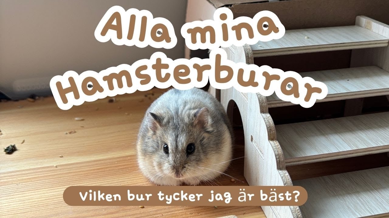 Vad jag tycker om ALLA mina hamsterburar 🐹 (&Auml;rlig recension!)