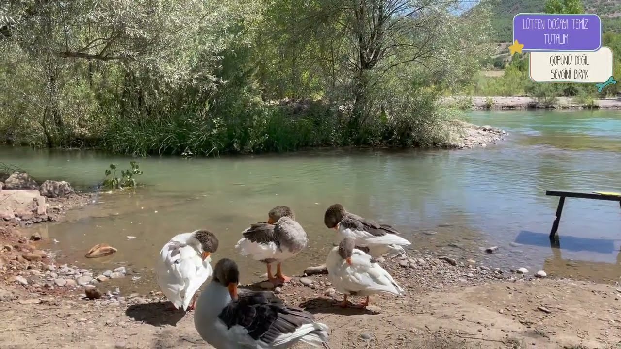 TUNCELİ KUTUDERE