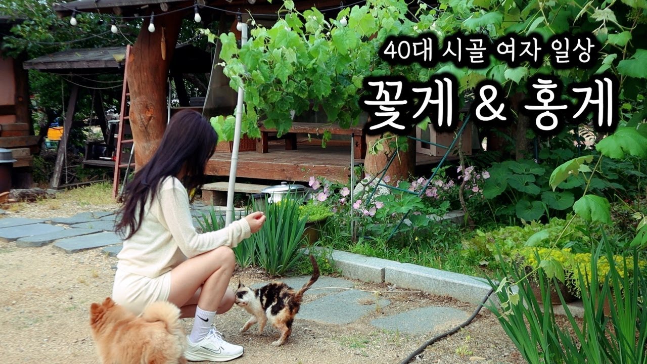 40대 시골 여자ㅣ간장게장 담가서 폭우 속 혼술ㅣ비 내리는 원두막 홍게 라면 해장ㅣ종일 비 내리는 영상~