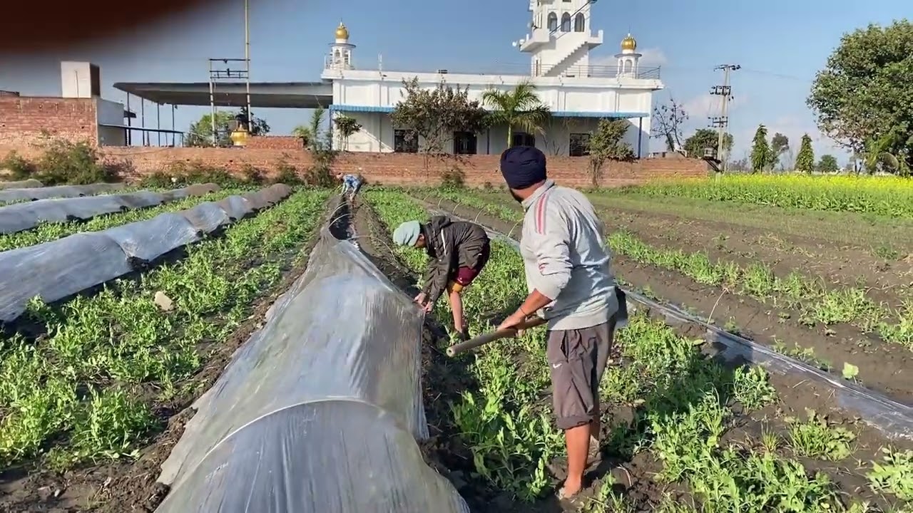 ਮੀਂਹ ਨੇ ਕੀਤਾ ਲਿਫਾਫੇ ਦਾ ਬੁਰਾ ਹਾਲ #myfirstvlogviral #punjabi #viral #Vlog 