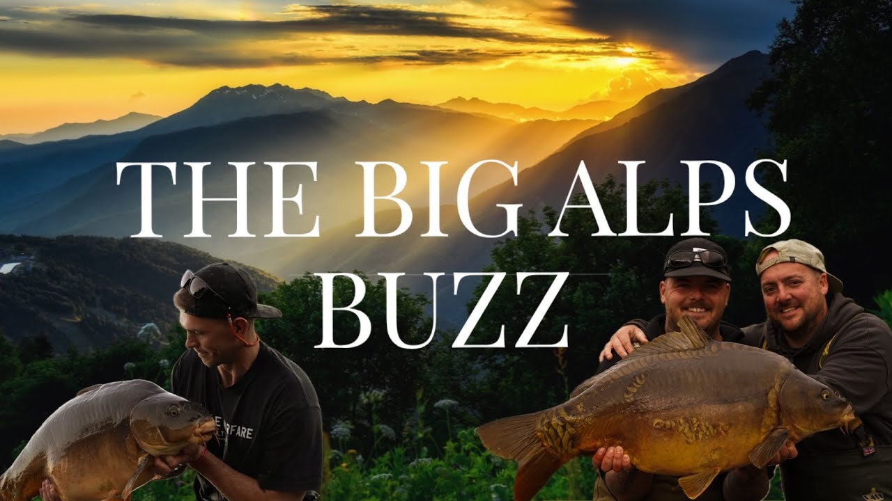 The Big Alps Buzz 