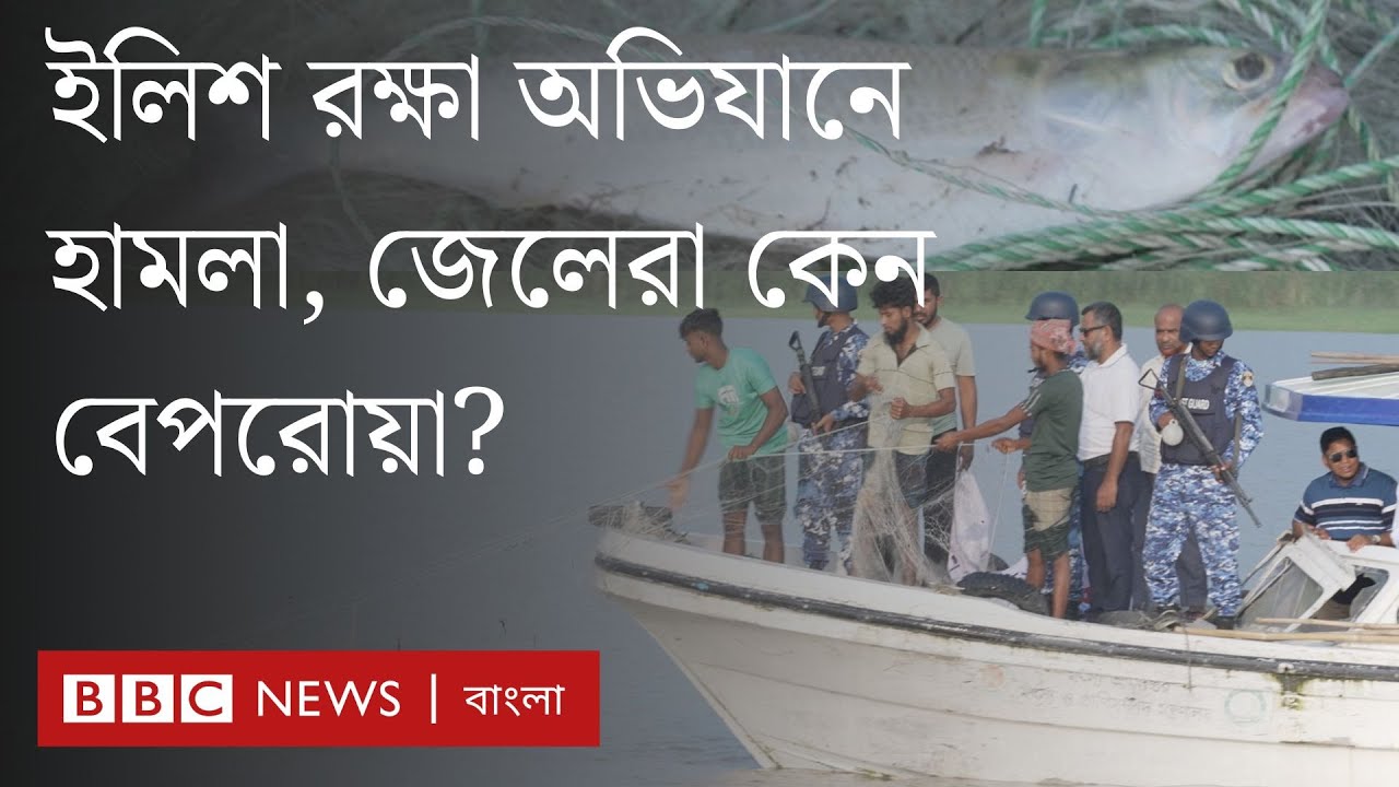 সরেজমিনে ইলিশ রক্ষা অভিযান কেমন দেখলো বিবিসি | BBC Bangla