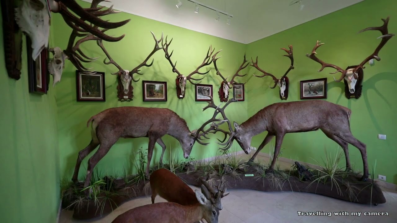 Hajósi Barokk Kastély 