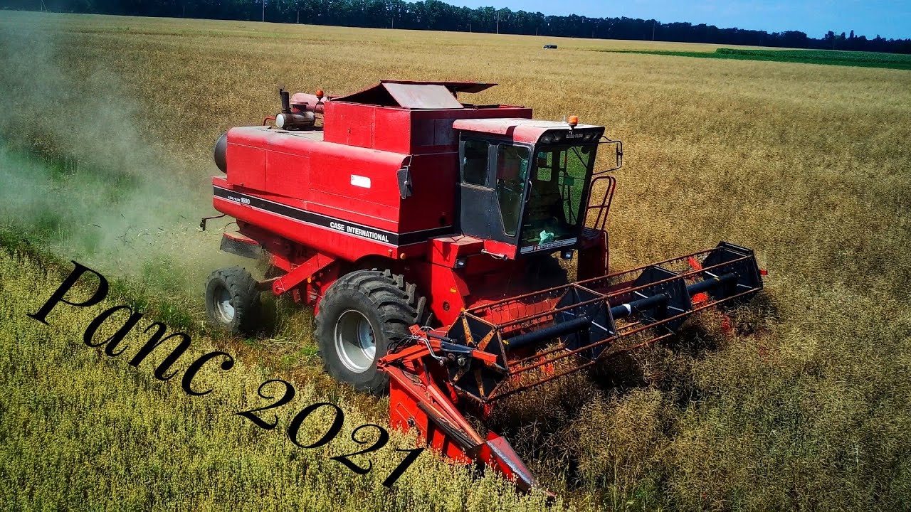 Уборка рапсу 2021   CASE 1680