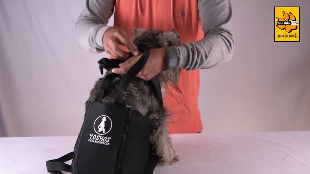 Mochilas para perro- Yoshos Dog carrier