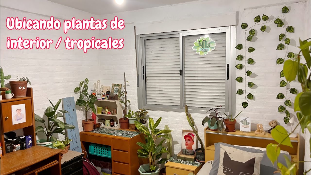 Mi nueva habitación con plantas de interior | Cattu