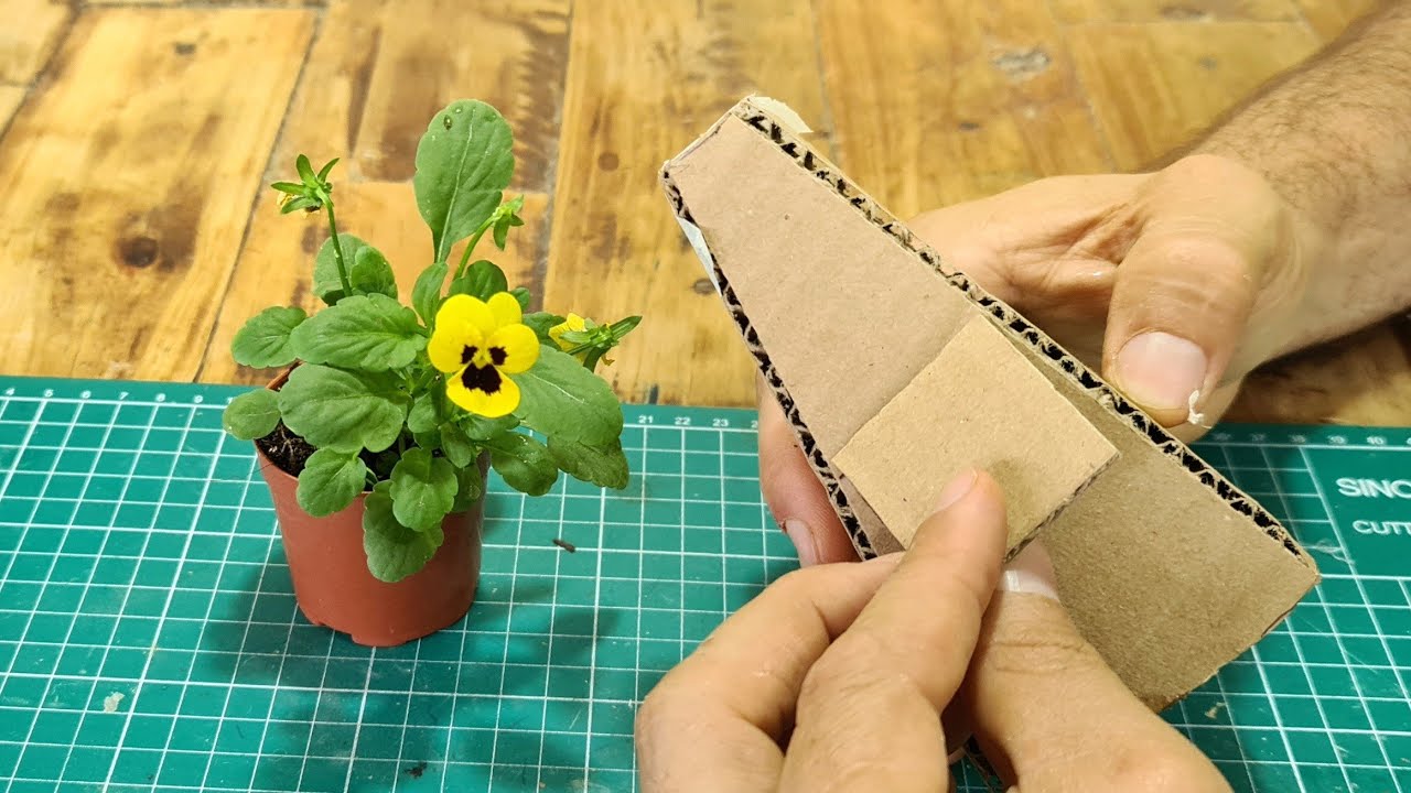 красивая идея с картоном - подставка для растений Mini Amor Perfeito