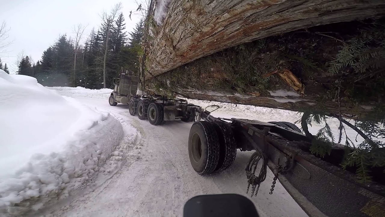 Logging Truck down steep mountain road with switch backs