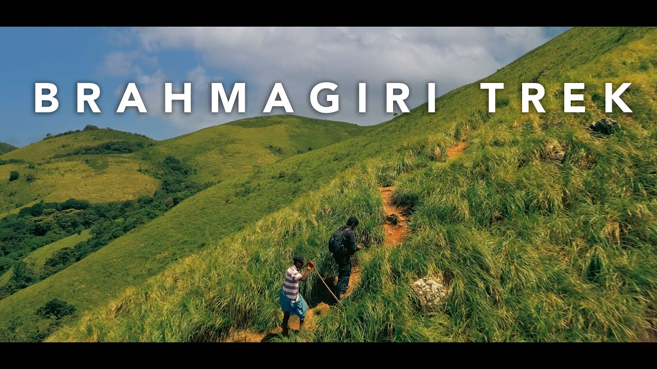 Lost In the Hills - Brahmagiri Trek | Wayanad | Kerala
