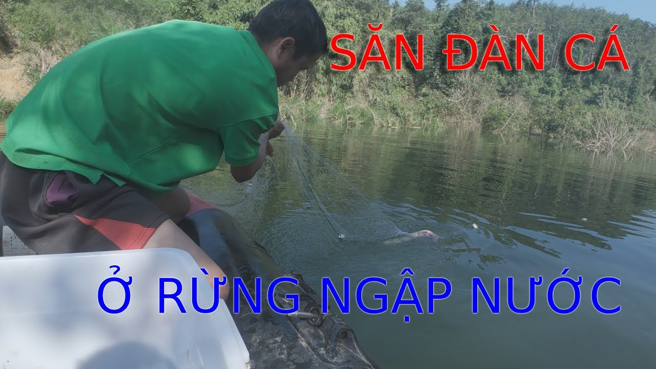 VÂY LƯỚI SĂN ĐÀN CÁ BẤT NGHỜ XUẤT HIỆN Ở KHU RỪNG MỚI NGẬP NƯỚC. (PHẦN 1)-Camera Thợ Rừng