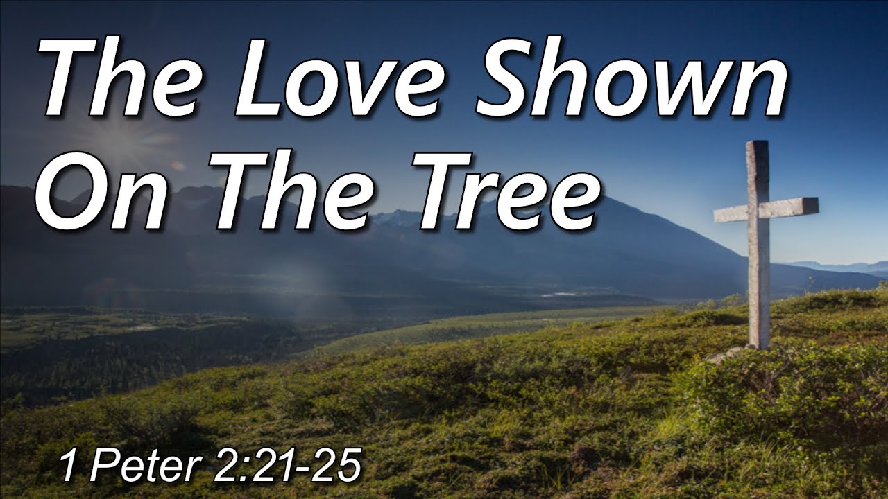 The Love Shown On The Tree - 2/8 AM