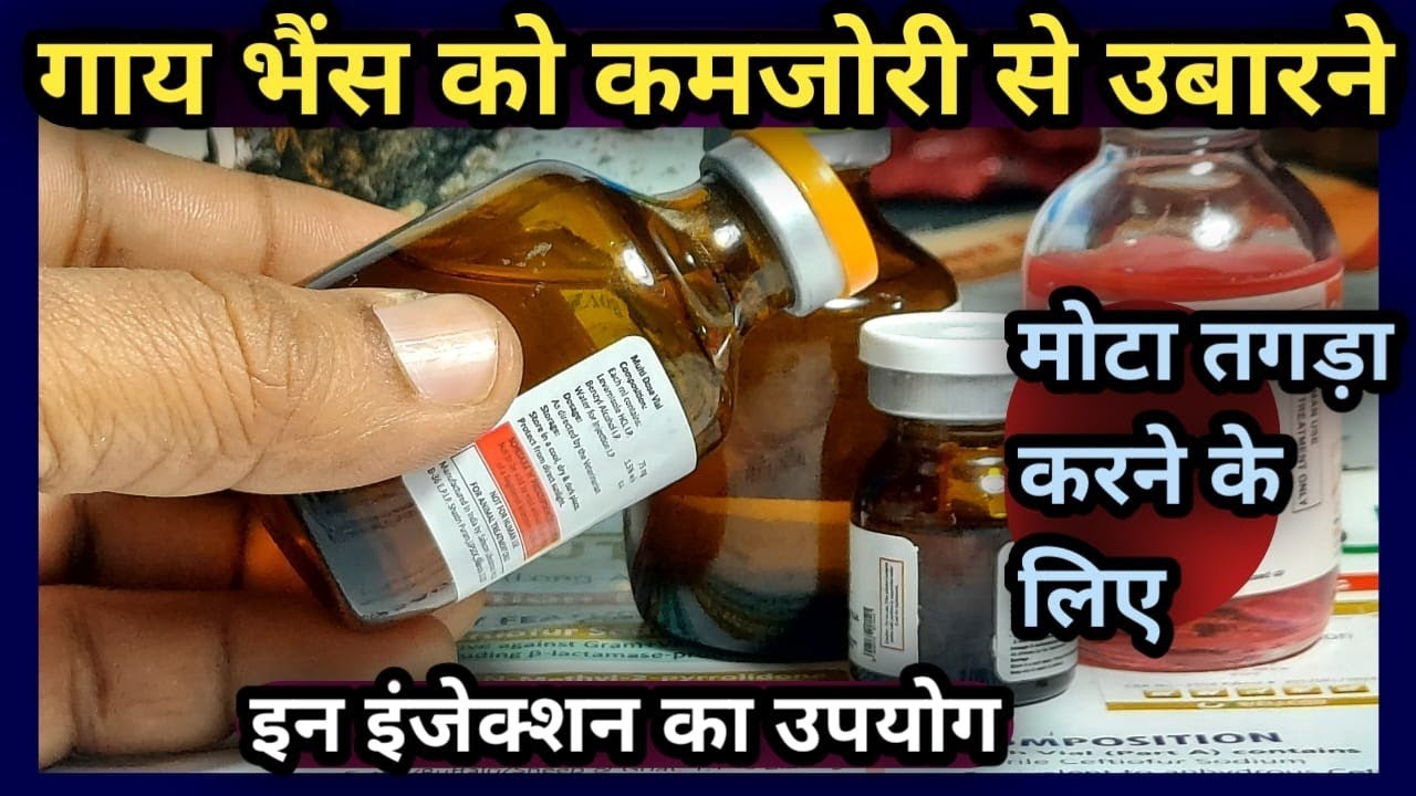 👍गाय भैंस को कमजोरी से उबारने||💪मोटा तगड़ा करने के लिए|| इन इंजेक्शन का उपयोग👉Weight gain injection