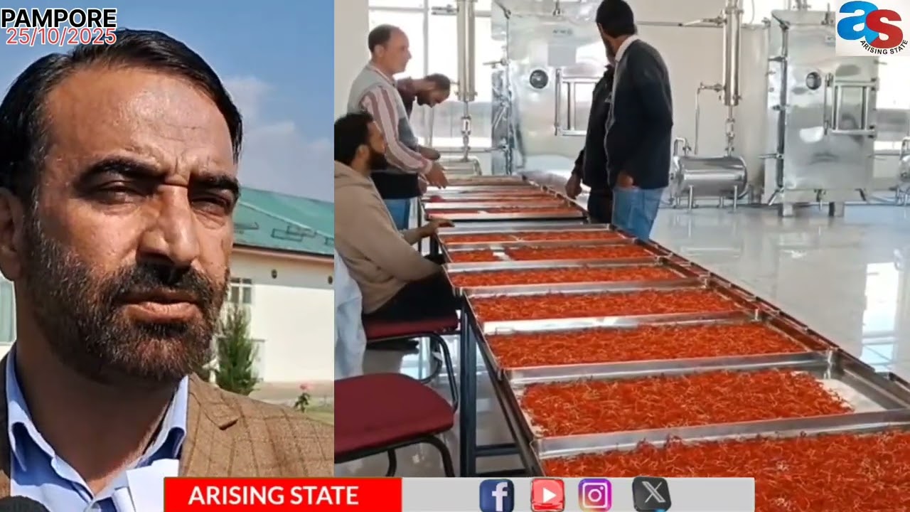 Saffron Harvest Ready at Asia&rsquo;s Largest Trade Hub in Pampore#