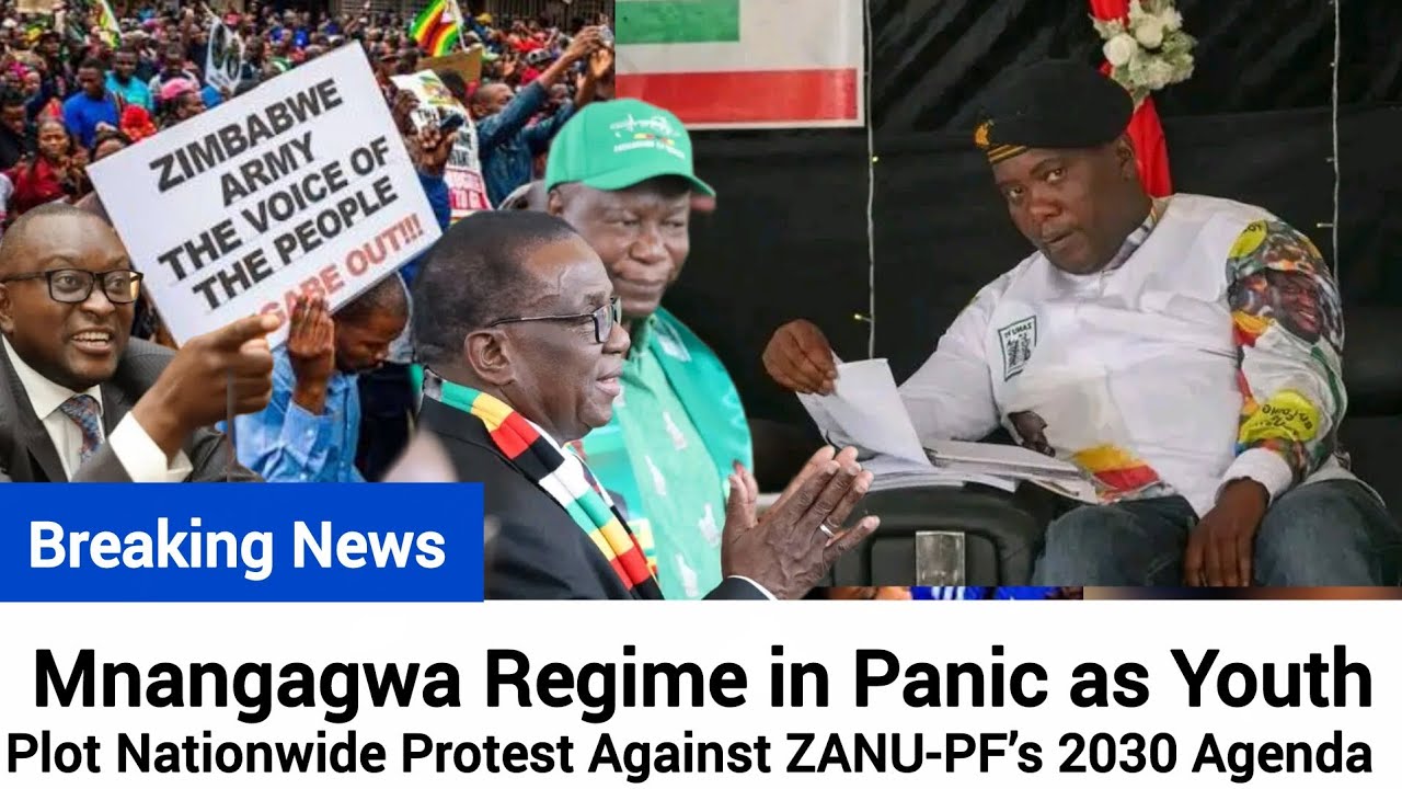 Breaking🔥Mnangagwa Regime in Panic as Youth Plot Nationwide Protest Against ZANU-PF&rsquo;s 2030 Agenda🇿🇼🔥
