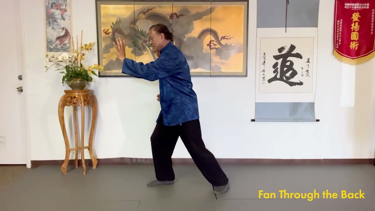 Tai Chi (Part 29) - Fan Through the Back
