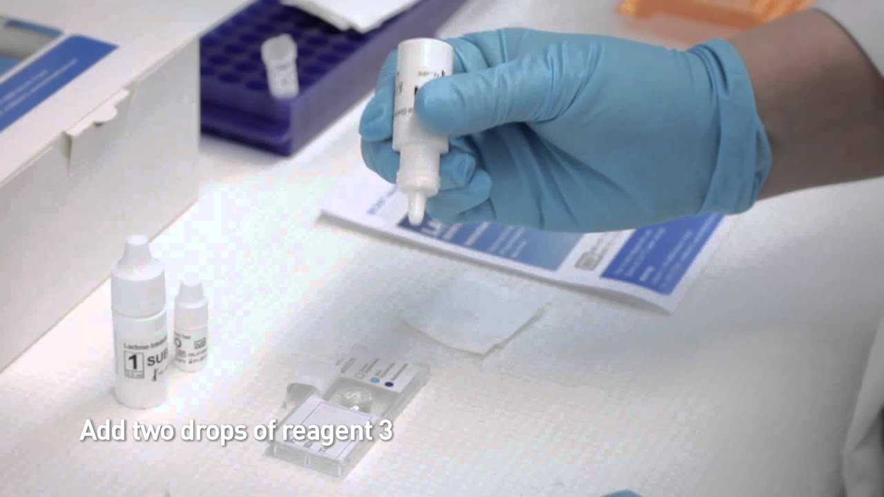 Biohit Lactose Intolerance Quick Test - rapid results during gastroscopy
