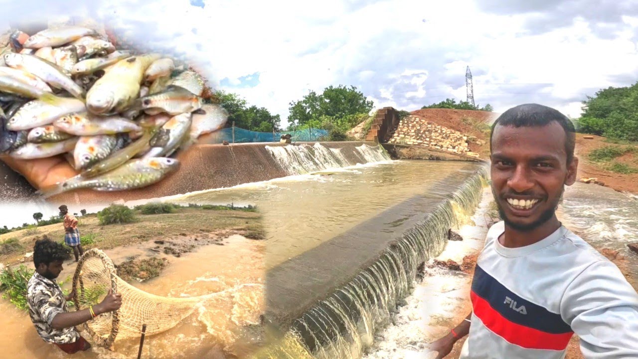 Fish Catching in Amazing Trap | தூரிவலையில் மீன்‌ வேட்டை #fishing
