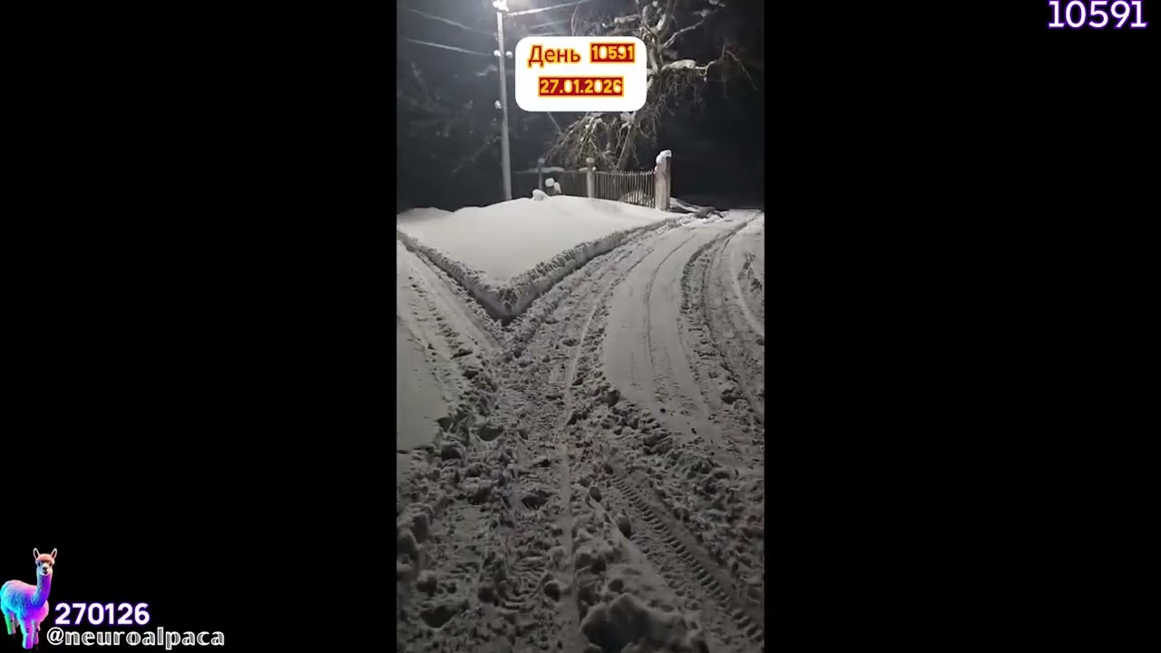 270126•10591🦙Альпакин День 🔴Еда, Анкета, Прогулка