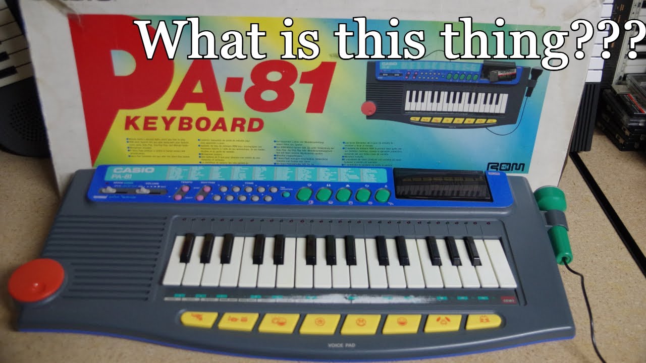 Casio PA 81. A really cool keyboard you've probably never heard of.