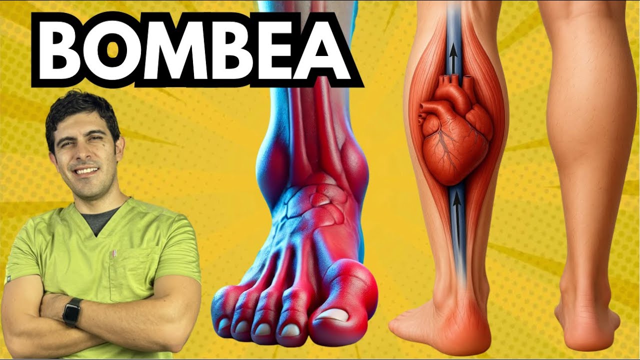Segundo corazón, como bombear la circulación de pies y piernas