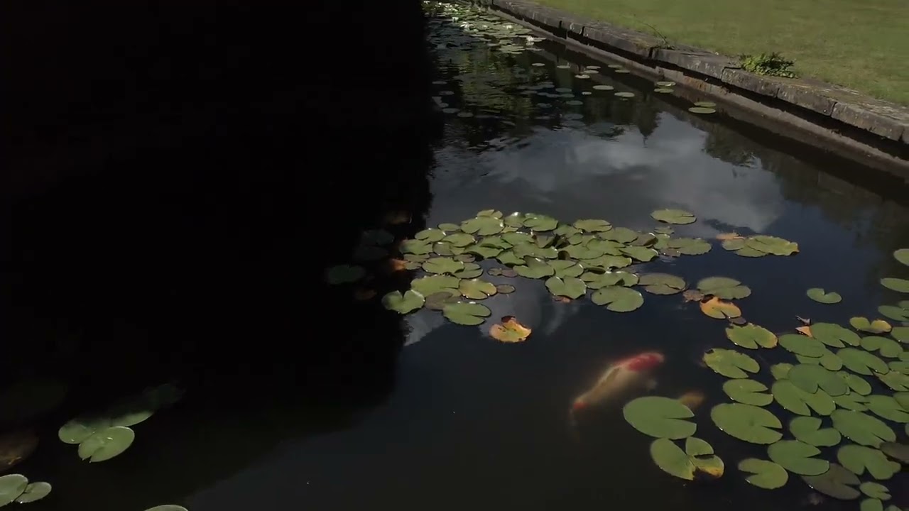 Renishaw Hall & Gardens