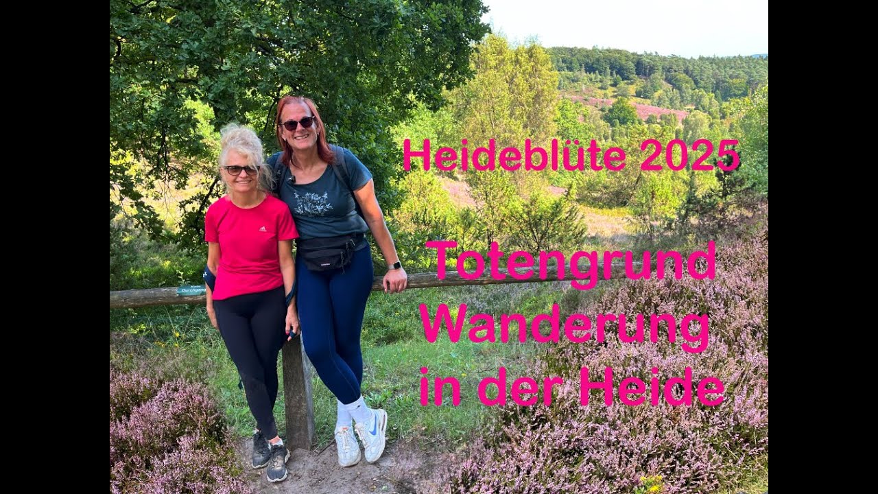 Heideblüte 2025 - Totengrund Wanderung in der Heide