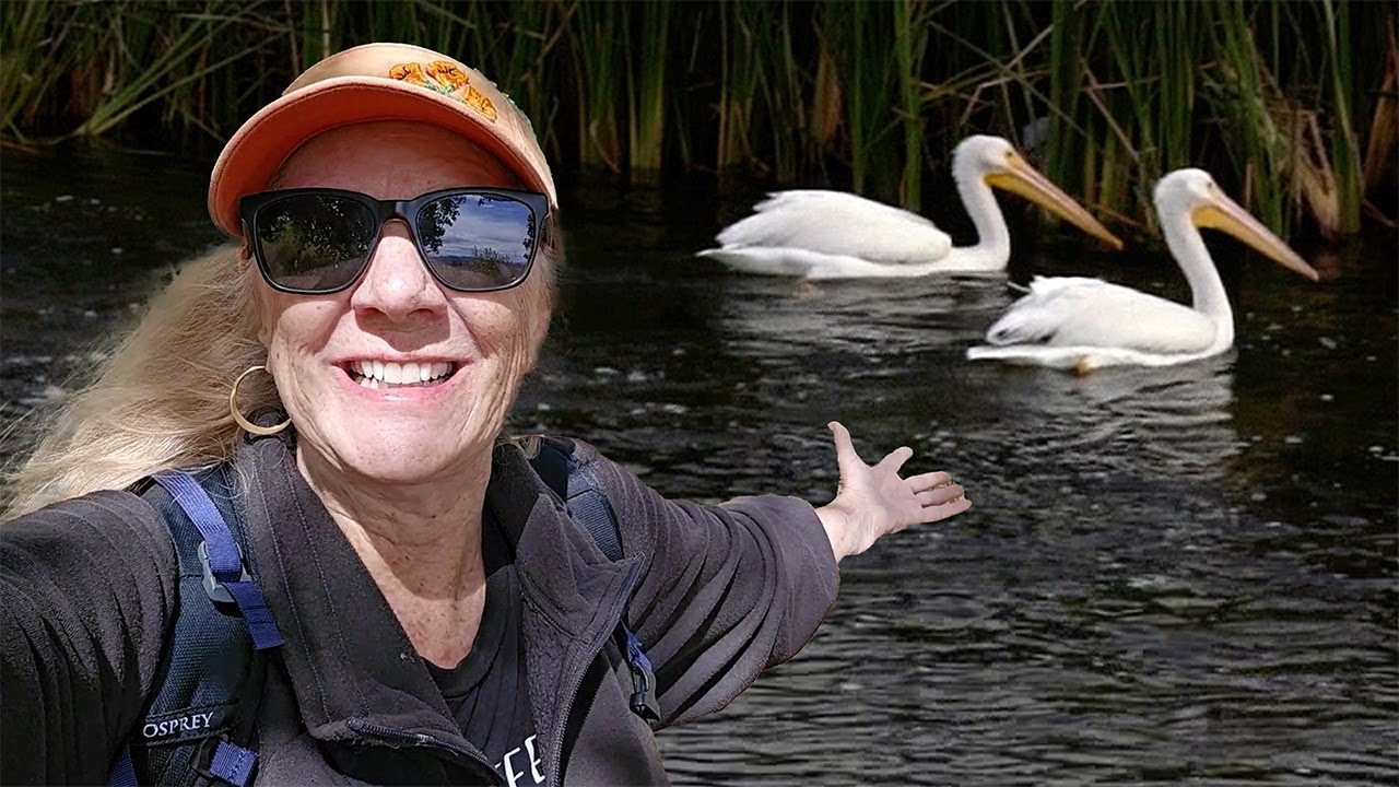 Discover Las Vegas's Hidden Oasis:  Clark County Wetlands Park