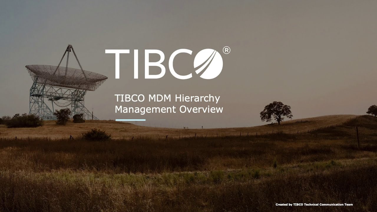 TIBCO MDM Hierarchy Management