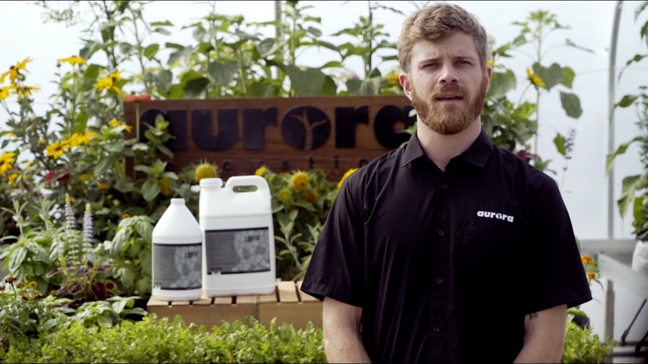 Aurora Innovations Roots Organics Calmag